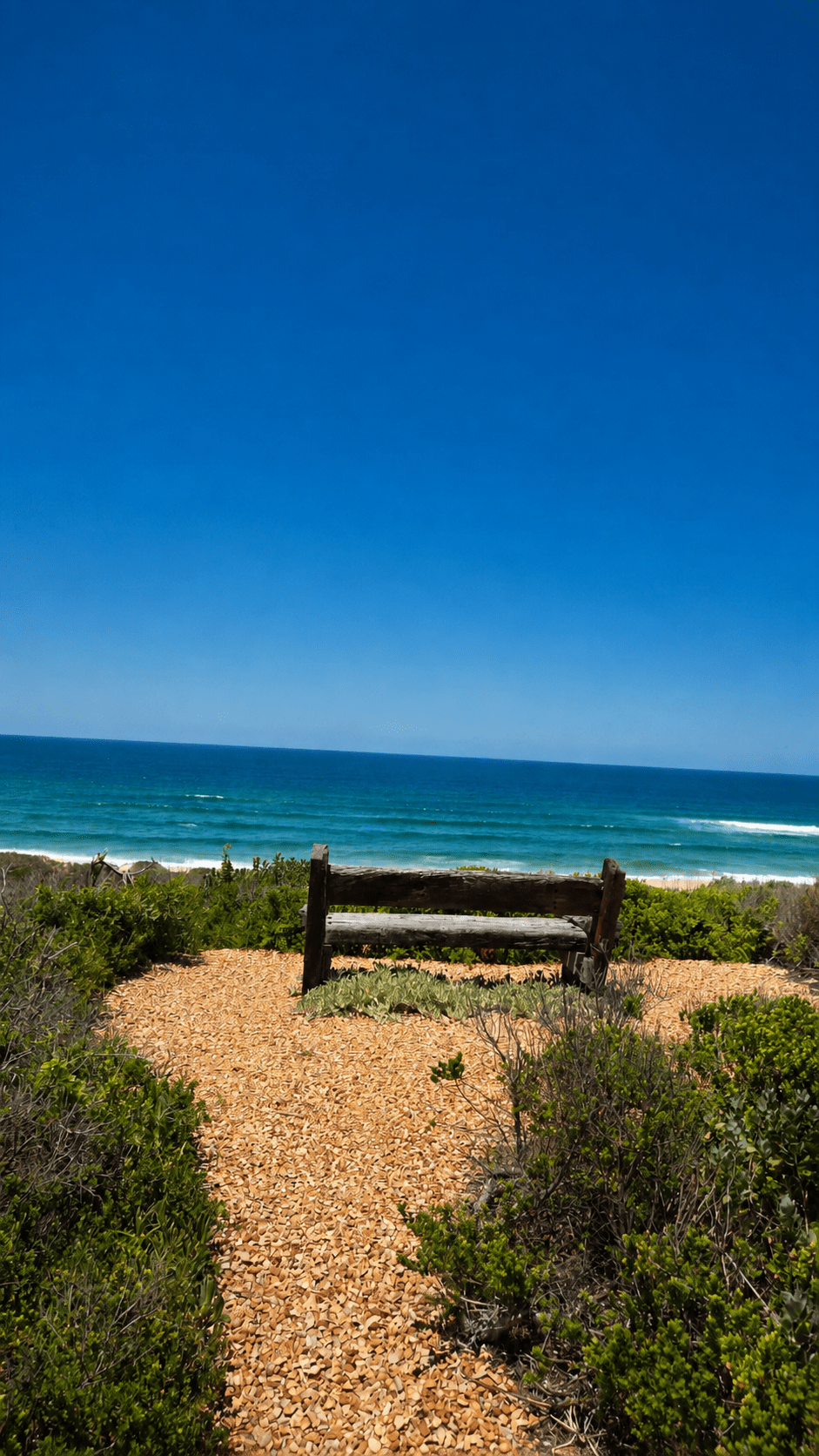 Beach Bench